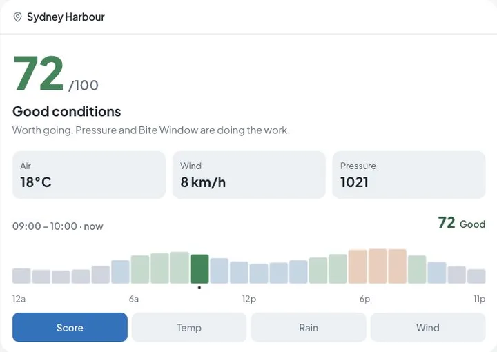 Angla's example dashboard showing a fishing score, weather readings, and hourly conditions using sample data.